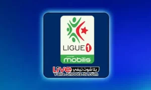 ترتيب هدافي الدوري الجزائري 2024 يلا شوت تيفي